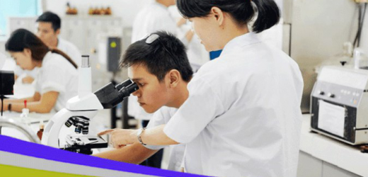 Các trường có ngành Dược ở Hà Nội là những trường nào?