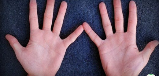[Góc giải đáp] 2 bàn tay chữ M ở nam giới có ý nghĩa gì?