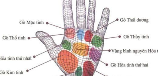 Ý nghĩa các gò trên bàn tay thể hiện tính cách và cuộc sống